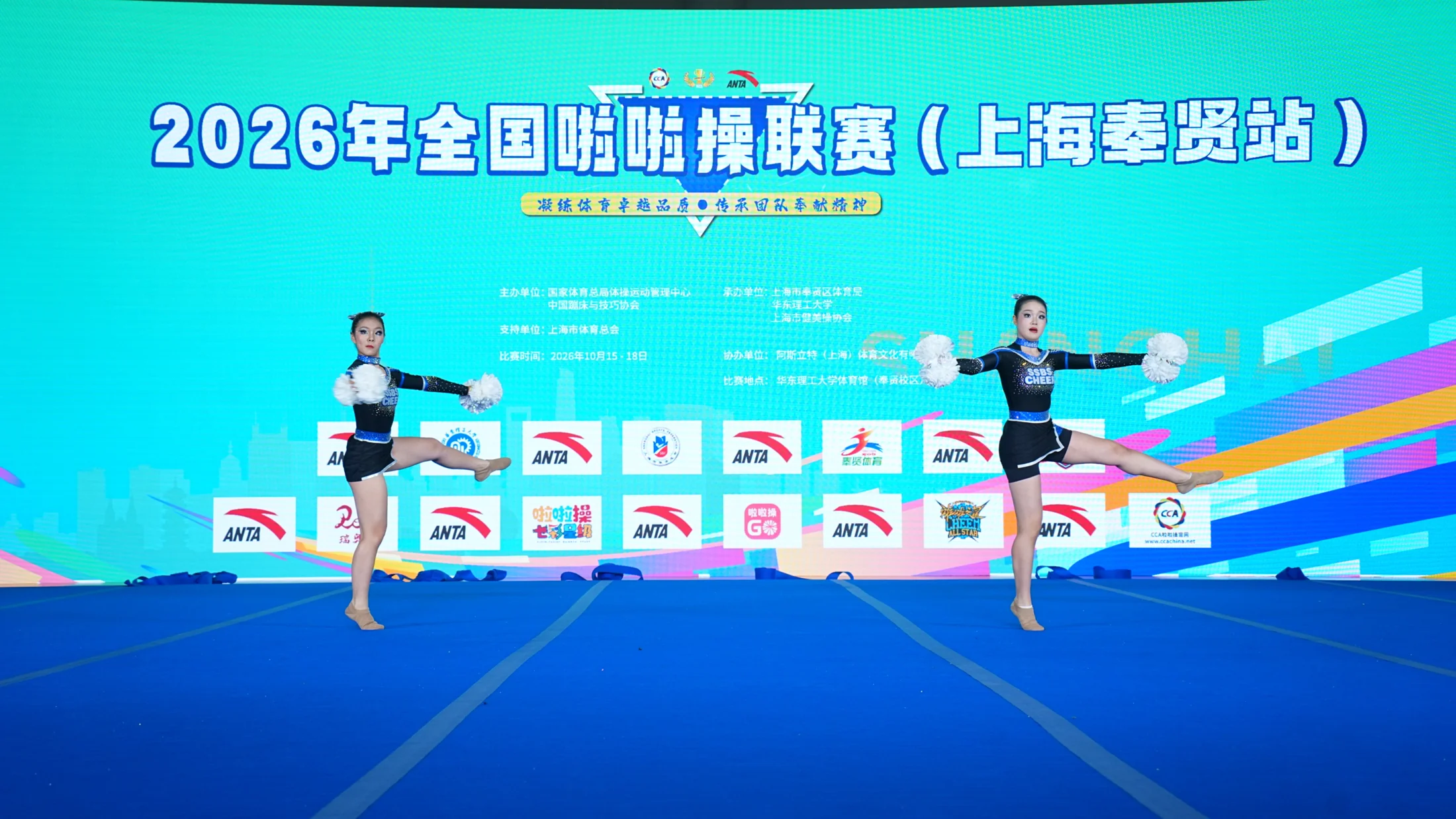 Freestyle pom